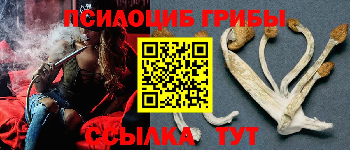 Галлюциногенные грибы ЛСД  Вход с VPN  Костомукша 